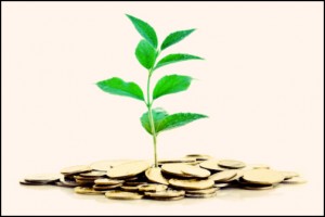 Gold Coins and plant isolated on white background